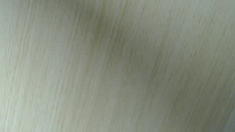 Aurora Willows online show from 18, 4, 2026