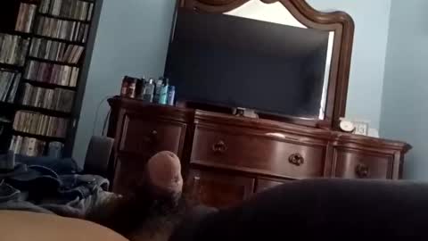 12345marihtc online show from 20, 10, 2025