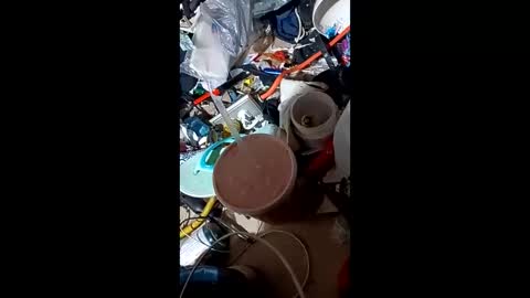 Boy In Sisters Clothes online show from 27, 12, 2024