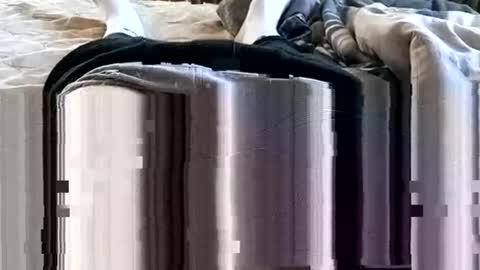 Snapshot of 1injecttoys_ chatting on 7, 3, 2026 1injecttoys_ online show from 7, 3, 2026