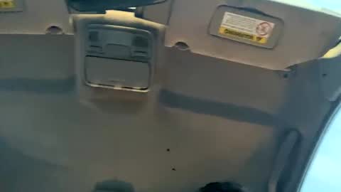 Snapshot of 23havefunwitme chatting on 17, 2, 2025 23havefunwitme online show from 17, 2, 2025