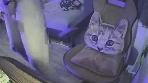 Superborec23 online show from 12, 4, 2026