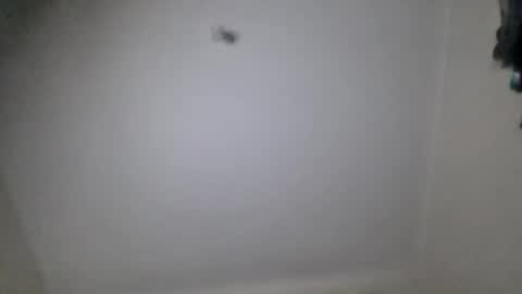 Snapshot of 2750clark chatting on 20, 6, 2026 2750clark online show from 20, 6, 2026