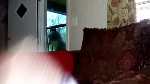 Snapshot of 2ccjbstar chatting on 22, 2, 2026 BlacJewels online show from 22, 2, 2026