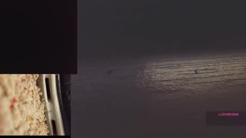 2tiredoftoys online show from 5, 4, 2026