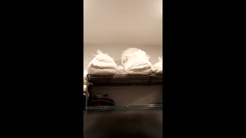 Str8 Edge online show from 21, 12, 2025