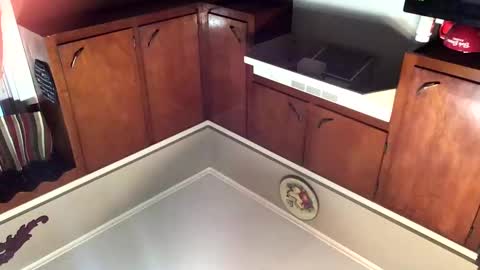 33adidas online show from 8, 11, 2025