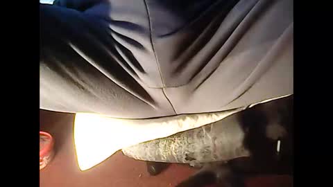 Snapshot of 4guy200 chatting on 23, 11, 2025 4guy200 online show from 23, 11, 2025