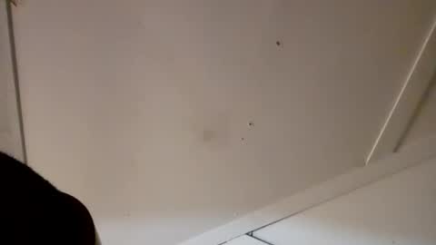 4j_n online show from 13, 4, 2026