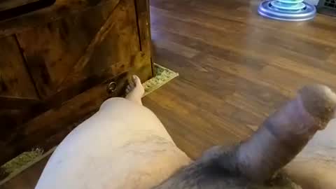 Snapshot of 5tone_bon3 chatting on 20, 1, 2025 5tone_bon3 online show from 20, 1, 2025