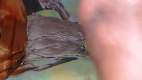 kendra1811 is my X networks I HOPE YOU FOLLOW ME THANKS online show from 31, 3, 2026