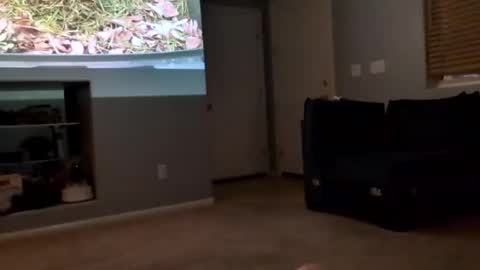 69singledad79 online show from 10, 3, 2025