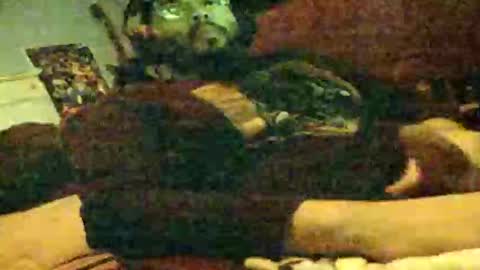 Snapshot of 6instraighter7 chatting on 3, 11, 2025 6instraighter7 online show from 3, 11, 2025