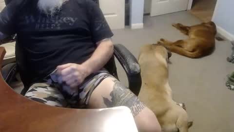 MASTIFF online show from 13, 10, 2025