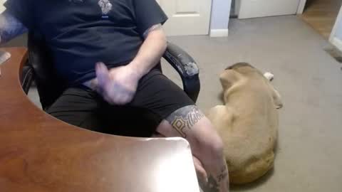 Snapshot of 70paborn chatting on 16, 1, 2026 MASTIFF online show from 16, 1, 2026