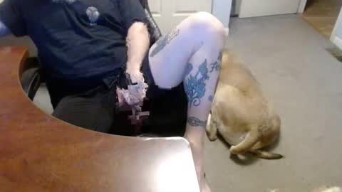 Snapshot of 70paborn chatting on 16, 1, 2026 MASTIFF online show from 16, 1, 2026