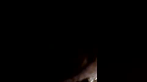 720damecurry online show from 22, 6, 2026