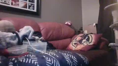 Snapshot of 7inchking269 chatting on 28, 2, 2026 7inchking269 online show from 28, 2, 2026