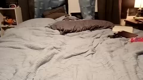 7lairddip online show from 15, 2, 2026