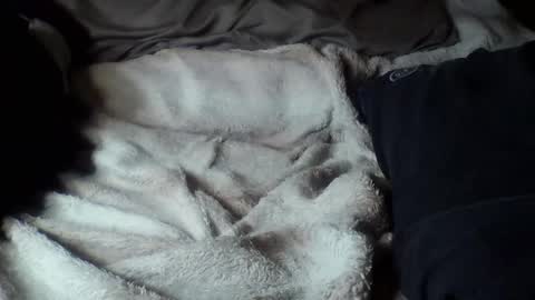 8675309r2d2 online show from 16, 9, 2025