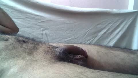 Massive hungry cock online show from 23, 5, 2026