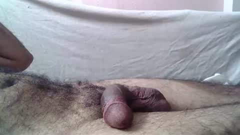 Massive hungry cock online show from 15, 7, 2026