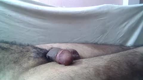 Massive hungry cock online show from 21, 7, 2026
