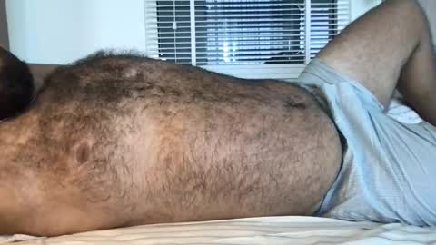 Snapshot of _alan_bear_ chatting on 13, 2, 2026 Alan online show from 13, 2, 2026