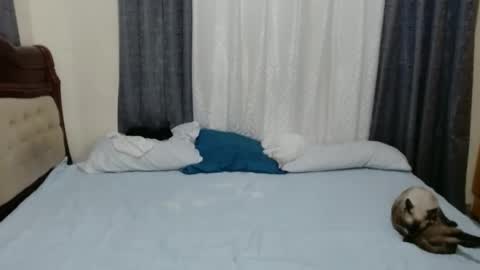 Amber online show from 25, 12, 2024