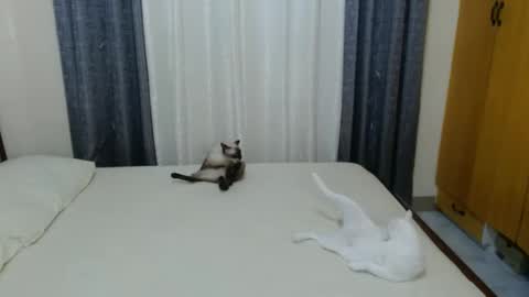 Amber online show from 3, 2, 2025