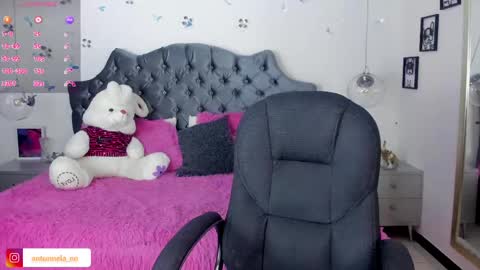 Snapshot of _antonnela_ chatting on 28, 2, 2025 antonnela online show from 28, 2, 2025