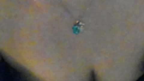 Sofia  online show from 7, 4, 2026