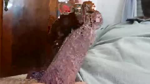 _black_horse_1 online show from 4, 12, 2025