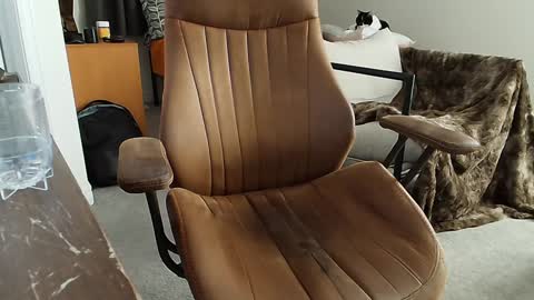 _black_lotus online show from 2, 2, 2025