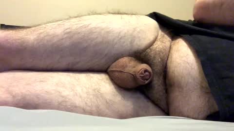 _dei online show from 19, 12, 2024