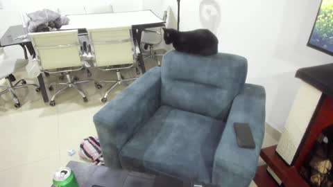 Emma online show from 17, 1, 2025