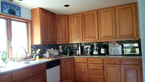 Frankie Rivers allmylinks  online show from 6, 3, 2025