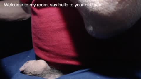 Snapshot of _jimmini chatting on 21, 2, 2025 _jimmini online show from 21, 2, 2025