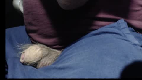 Snapshot of _jimmini chatting on 12, 2, 2026 _jimmini online show from 12, 2, 2026