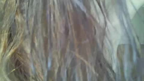 KAPELKA   online show from 4, 2, 2025