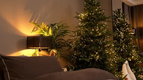 Snapshot of _keti_ chatting on 30, 11, 2025 FANSLY --- anal in private 700 tokens online show from 30, 11, 2025