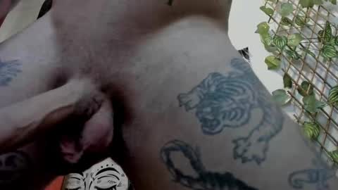 Snapshot of _layne chatting on 21, 2, 2025 Layne online show from 21, 2, 2025