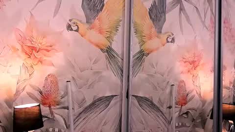 Lisa online show from 18, 1, 2025