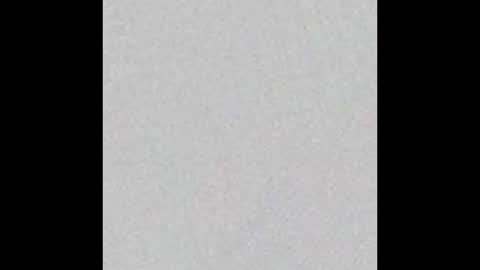 _maccaa_ online show from 6, 11, 2025