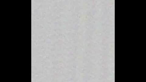 _maccaa_ online show from 12, 11, 2025