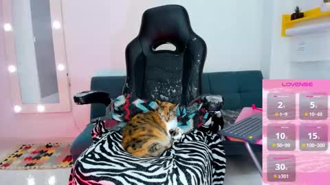 Juli online show from 3, 2, 2026