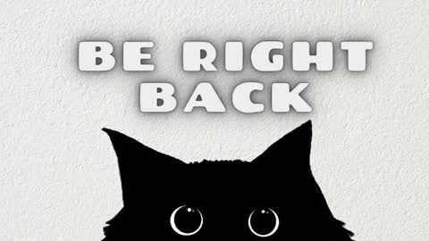 Stefany online show from 1, 4, 2026