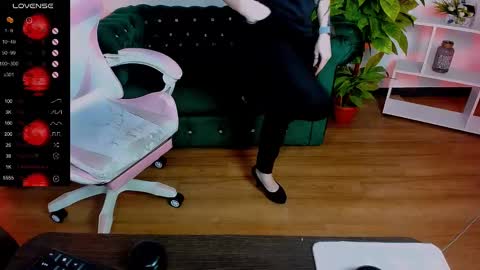 Rein online show from 9, 3, 2025