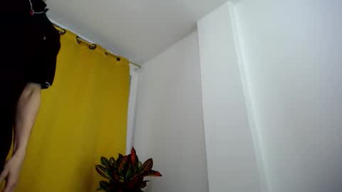 Snapshot of _skyleer_ chatting on 8, 11, 2025 _skyleer_ online show from 8, 11, 2025