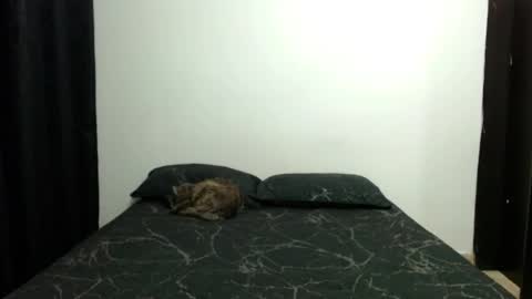 Sofia Parker online show from 10, 11, 2025